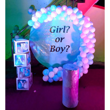 Gender Reveal Baby Shower Balloon Decor Jaipur