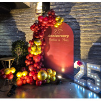 25th Silver Jubilee Anniversary Balloon Decoration in Jaipur