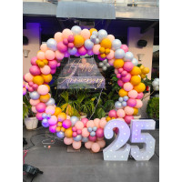 Pastel 25th Anniversary Balloon Arch Kit with LED Numbers