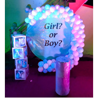 Gender Reveal Baby Shower Balloon Decor Jaipur